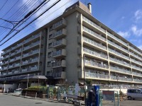 周辺施設大変充実！お買い物にも便利です♪
ジャパニーズモダンにフルリフォーム中！
3月中旬完成予定！