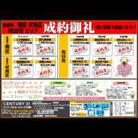 ☆3月6日折込チラシ☆