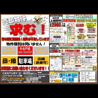 ☆3月13日折込チラシ☆
