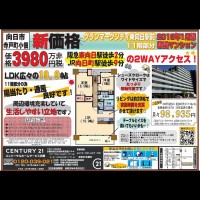 ☆3月27日折込チラシ☆